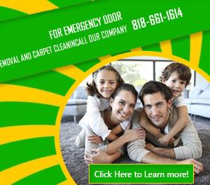 Contact Us | 818-661-1614 | Carpet Cleaning San Fernando, CA